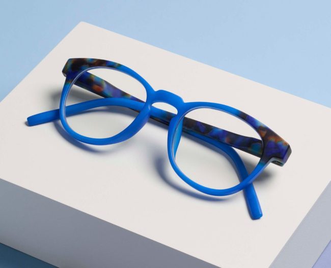Chester (Blue Light) - Image 17
