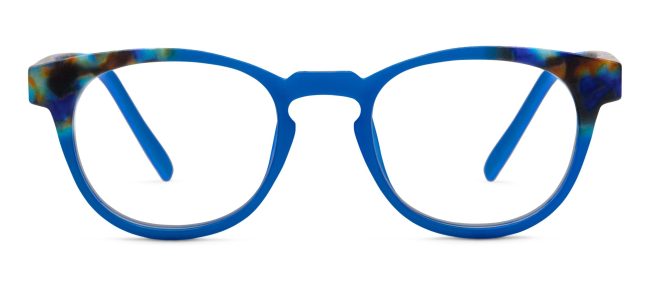 Chester (Blue Light) - Image 12