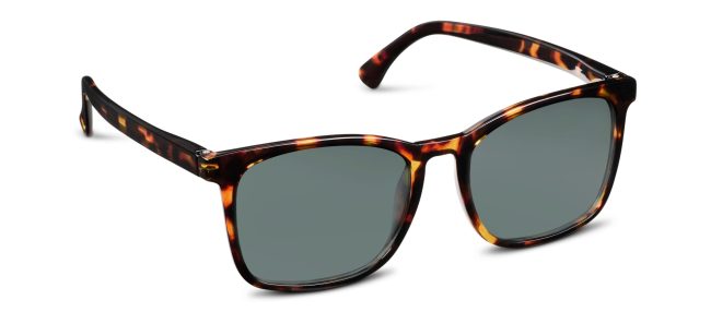 Mateo - Image 12