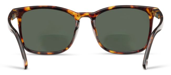 Mateo - Image 14