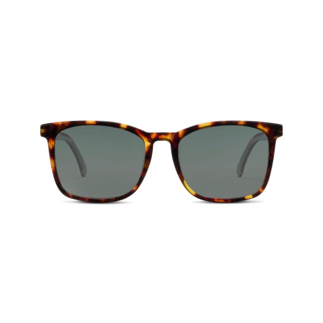 Mateo - Image 11